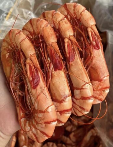 Click to view full screen Top-grade / Grilled Dried Shrimp photo review